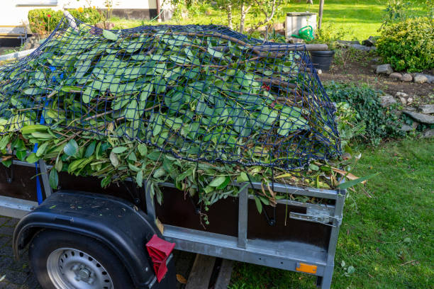 Same-Day Junk Removal Services in Farmington, UT